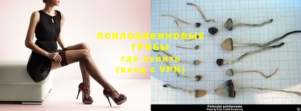 метадон Михайловск