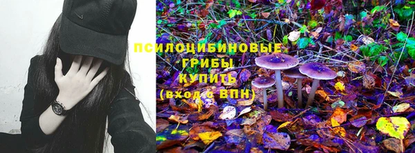 метадон Михайлов