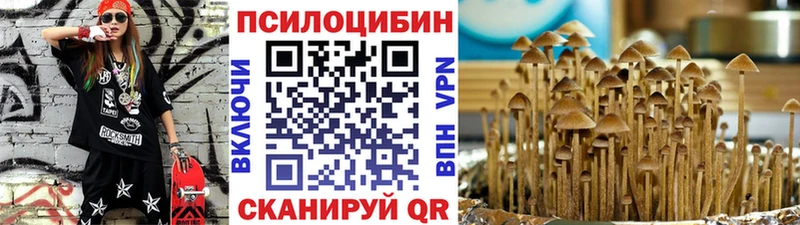 Галлюциногенные грибы Cubensis  kraken ONION  Малая Вишера 