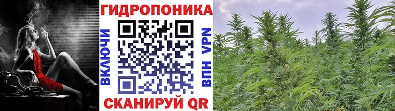 Канабис THC 21% Малая Вишера
